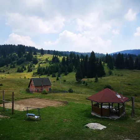 Vlasic *